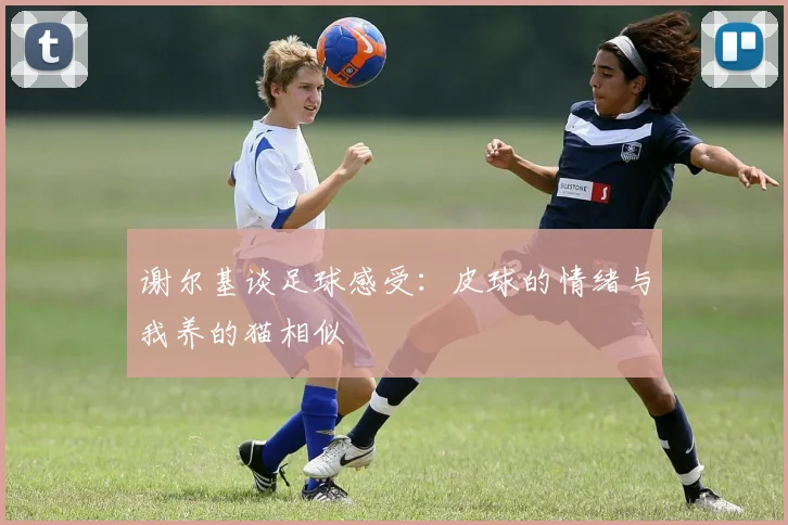 谢尔基谈足球感受：皮球的情绪与我养的猫相似